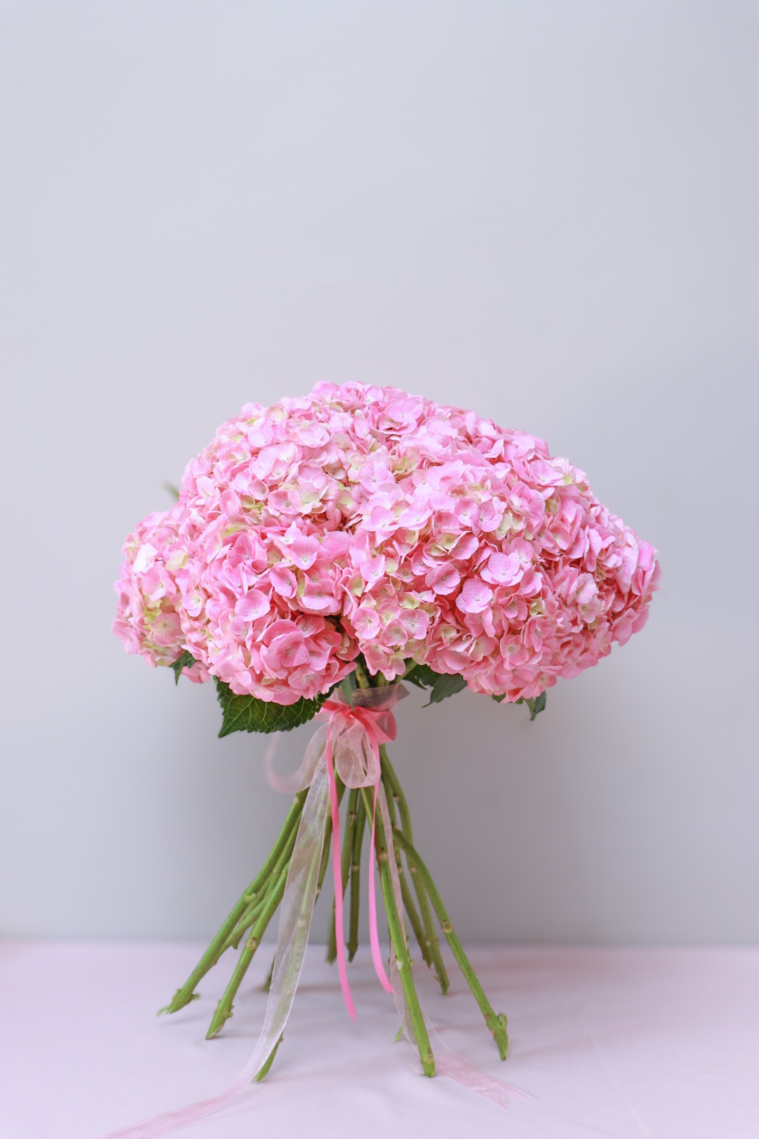 Lavender and pink hydrangea bouquet, quiet portrait